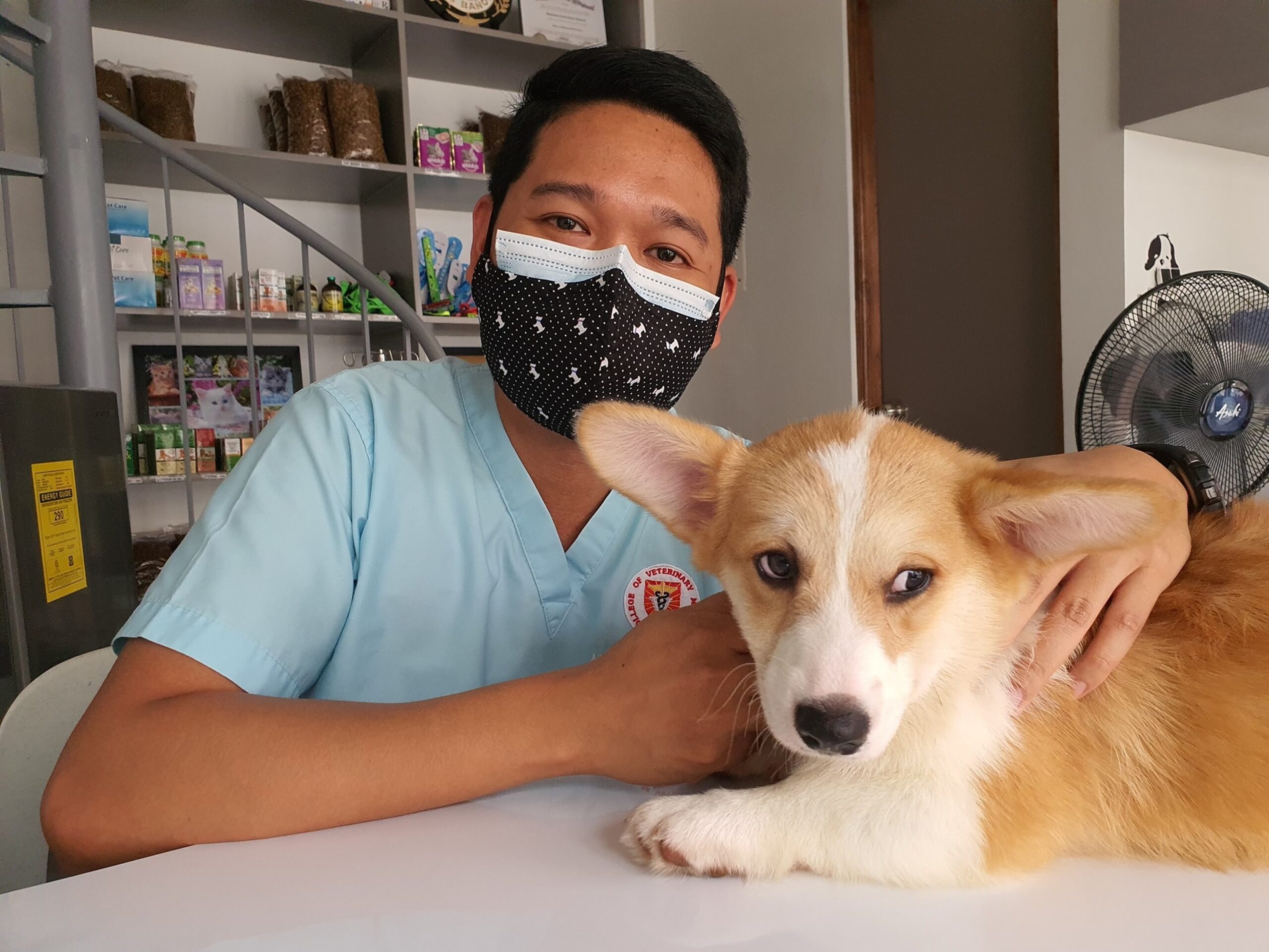 Veterinarian