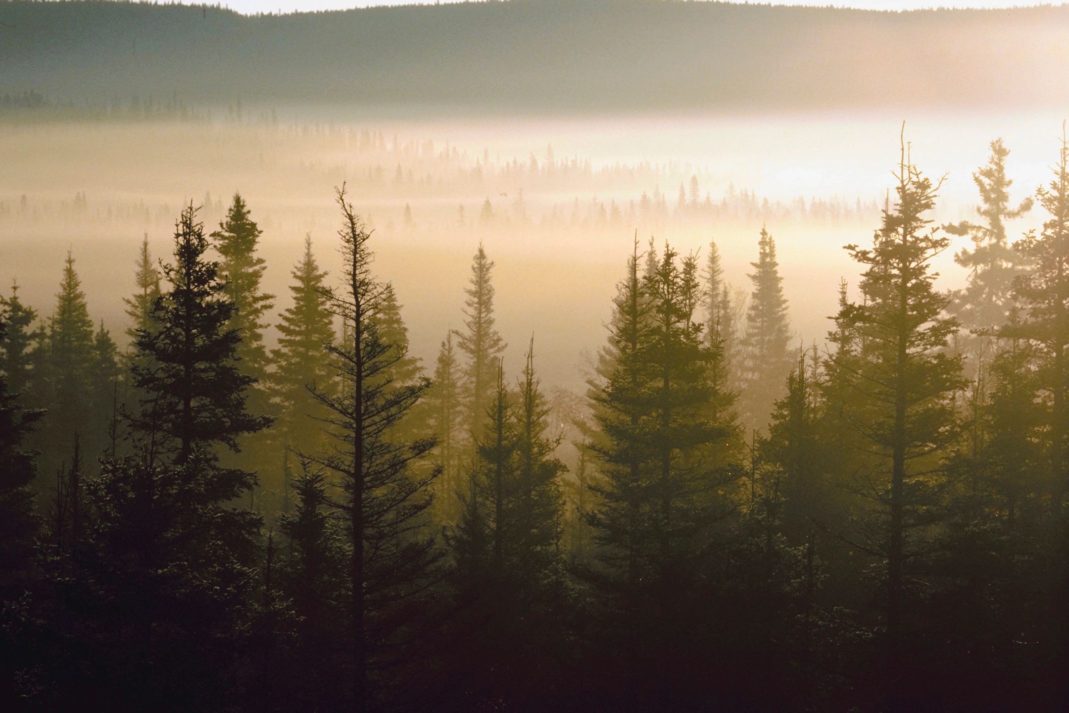 #JamesDonaldson On #MentalHealth – Heat Got You Down? #Summer #SeasonalAffectiveDisorder Is MORE Deadly Than #Winter #Depression, As #Suicide Rates Peak During #Spring And #Summer Months