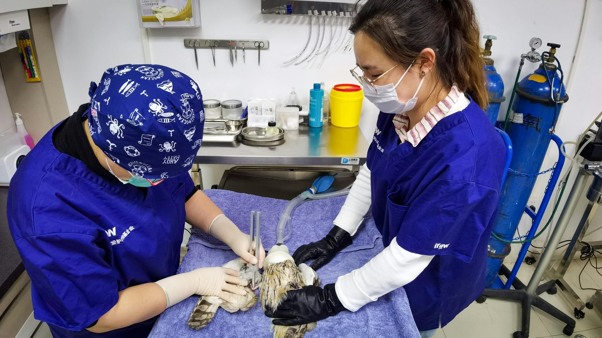 James Donaldson on Mental Health – I’m a veterinarian — the profession is facing a mental health crisis